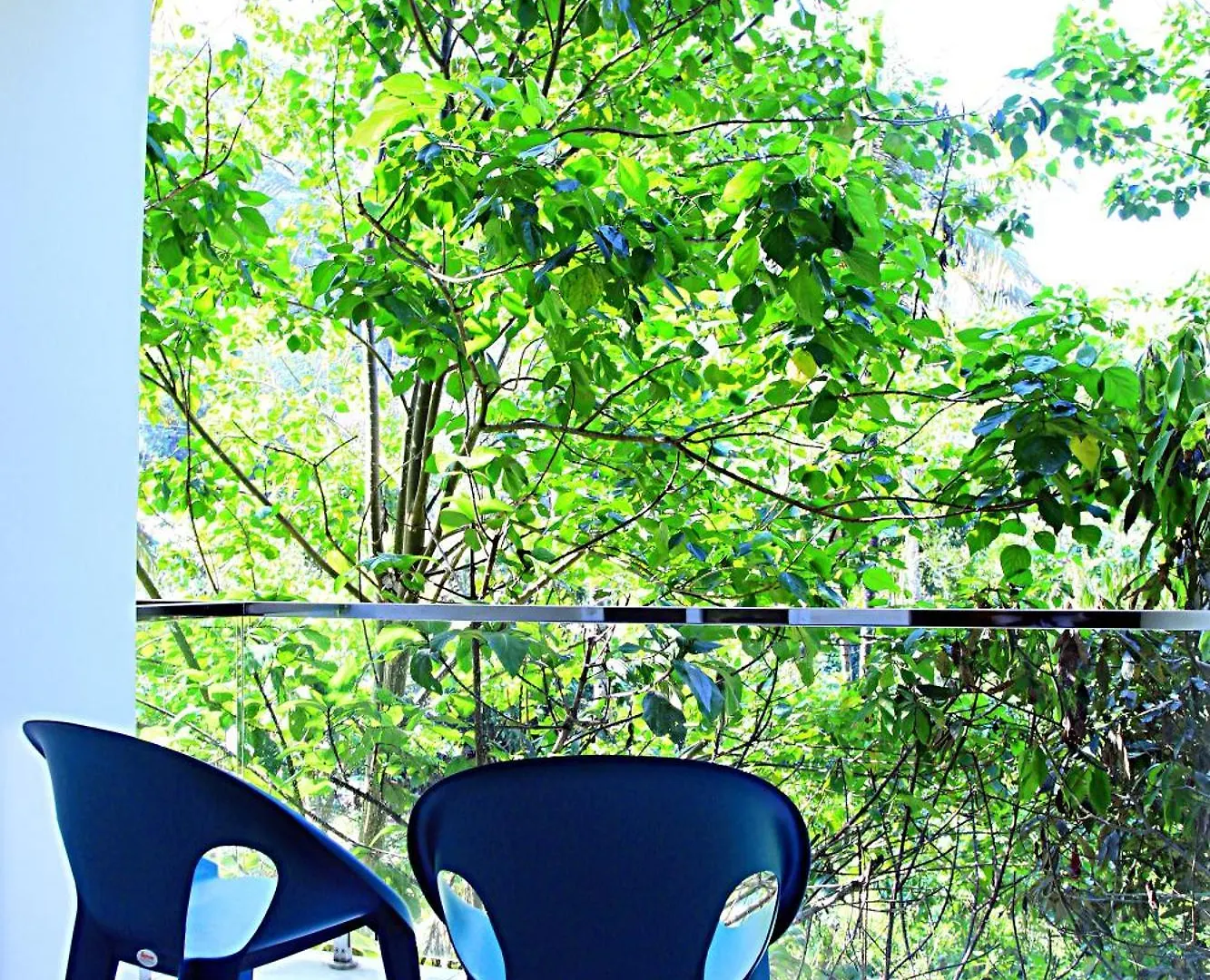 Card B Nest Hotel Thekkady