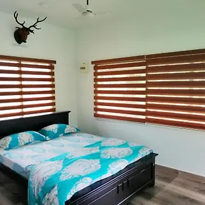 Noah's Nest Tree House Privatunterkunft